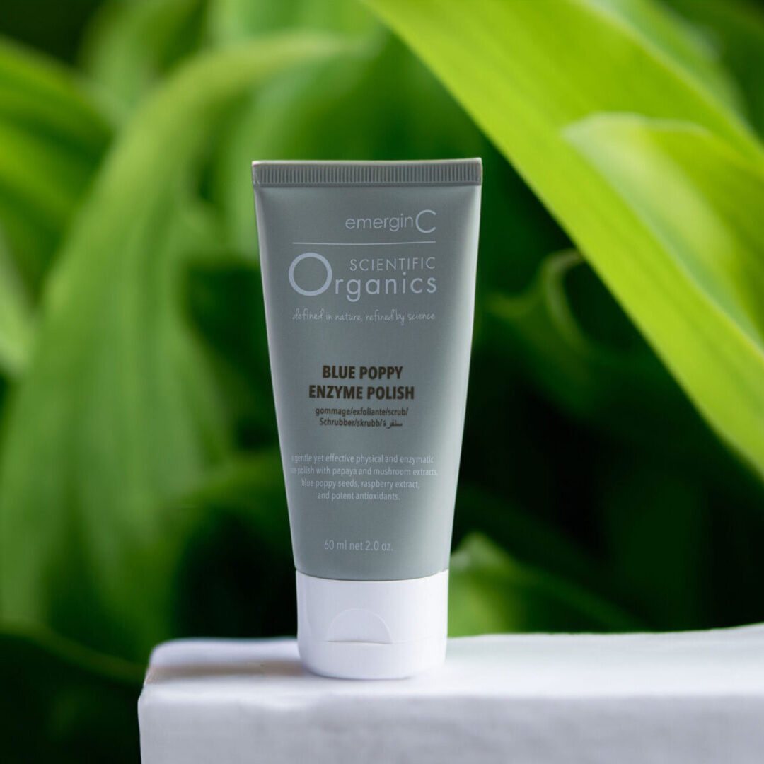 BluePoppy Enzyme Brightening Facial A tube of blue berry enzyme facial cleanser sitting on top of a green plant.
